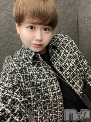 ʥå륺СLE SOLEIL( 쥤) ŷȤߤ(22)117̥֥֤ˤʤ