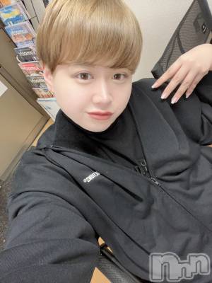 ʥå륺СLE SOLEIL( 쥤) ŷȤߤ(22)1127̥֥֤ޤΡ