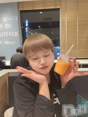 ʥå륺СLE SOLEIL( 쥤) ŷȤߤ(22)1128ֺ̥֥Ƕ