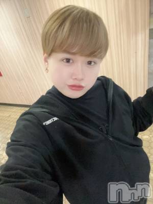 ʥå륺СLE SOLEIL( 쥤) ŷȤߤ(22)121ֺ̥֥ǽï