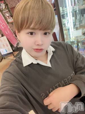 ʥå륺СLE SOLEIL( 쥤) ŷȤߤ(22)124ֿ̥֥Τ