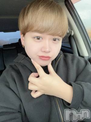 ʥå륺СLE SOLEIL( 쥤) ŷȤߤ(22)126̥֥֤Ϥʤ