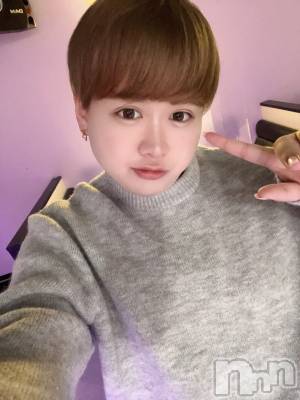 ʥå륺СLE SOLEIL( 쥤) ŷȤߤ(22)128ֺ̥֥Ǥꡪ