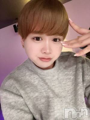 ʥå륺СLE SOLEIL( 쥤) ŷȤߤ(22)1217̥֥1217 2010ʬΥ֥