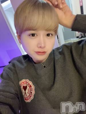 ʥå륺СLE SOLEIL( 쥤) ŷȤߤ(22)18̥֥֤Ĥ㤿