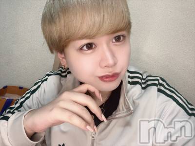 ʥå륺СLE SOLEIL( 쥤) ŷȤߤ(22)111̥֥֤á