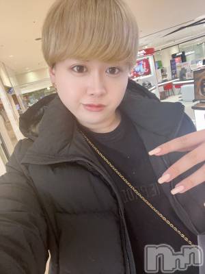 ʥå륺СLE SOLEIL( 쥤) ŷȤߤ(22)115̥֥֤դա