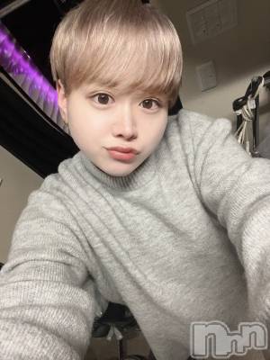 ʥå륺СLE SOLEIL( 쥤) ŷȤߤ(22)126̥֥֥饹ȡ