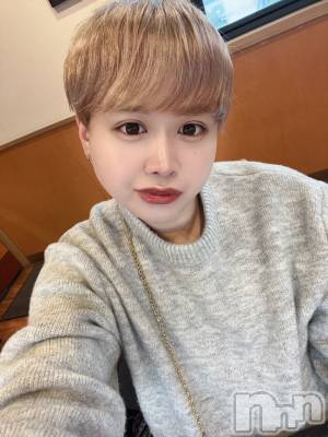 ʥå륺СLE SOLEIL( 쥤) ŷȤߤ(22)128̥֥֥Ȥ