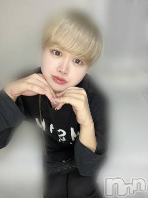 ʥå륺СLE SOLEIL( 쥤) ŷȤߤ(22)214ֺ̥֥