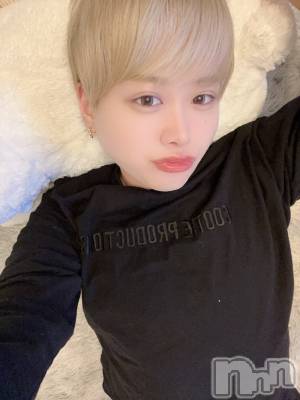 ʥå륺СLE SOLEIL( 쥤) ŷȤߤ(22)220̥֥