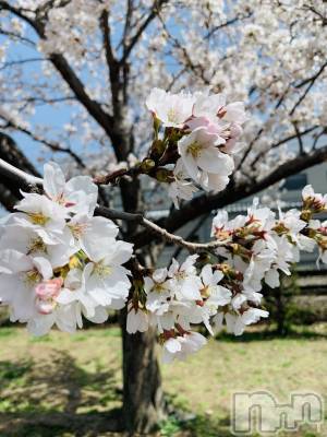 松本発デリヘル 松本人妻隊(マツモトヒトヅマタイ) ほなみ(48)の4月2日写メブログ「ザワザワ⭐️」