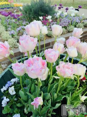 松本発デリヘル 松本人妻隊(マツモトヒトヅマタイ) ほなみ(48)の4月9日写メブログ「楽しみ💖」