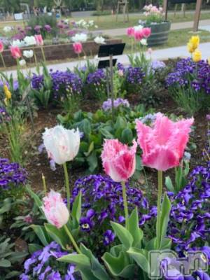 松本発デリヘル 松本人妻隊(マツモトヒトヅマタイ) ほなみ(48)の6月13日写メブログ「?」