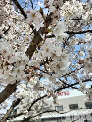 松本発デリヘル 松本人妻隊(マツモトヒトヅマタイ) ほなみ(48)の4月6日写メブログ「久しぶりー😁」