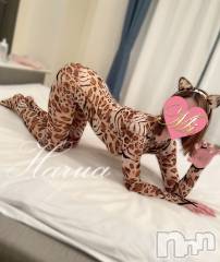 長岡デリヘルMimi(ミミ) はるあ★殿堂RANK対象外★(20)の3月22日写メブログ「🫧這い上がりオンナ🫧」