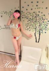 長岡デリヘルMimi(ミミ) はるあ★殿堂RANK対象外★(20)の8月3日写メブログ「🫧ねこちゃん🫧」