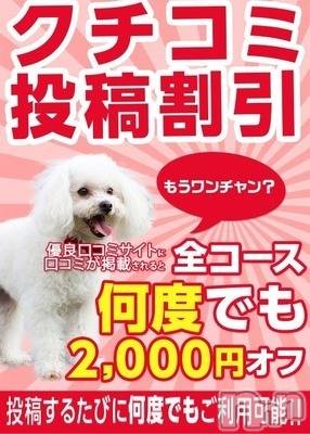 飯田デリヘル(ナガノイイダチャンコ)の2023年3月19日お店速報「何度でも2000円オフ！！★☆口コミ投稿割引★☆」