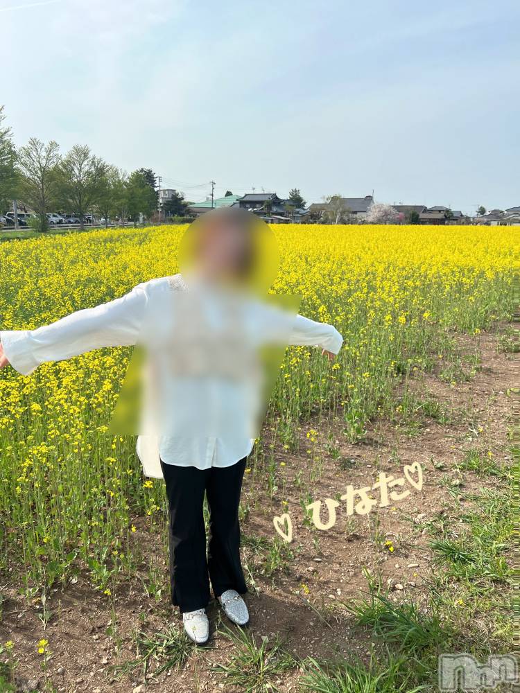 三条人妻デリヘル人妻じゅんちゃん-出稼ぎ0！地元の奥様専門-(ヒトヅマジュンチャン) 日向るり(45)の5月6日写メブログ「春の祭り！」