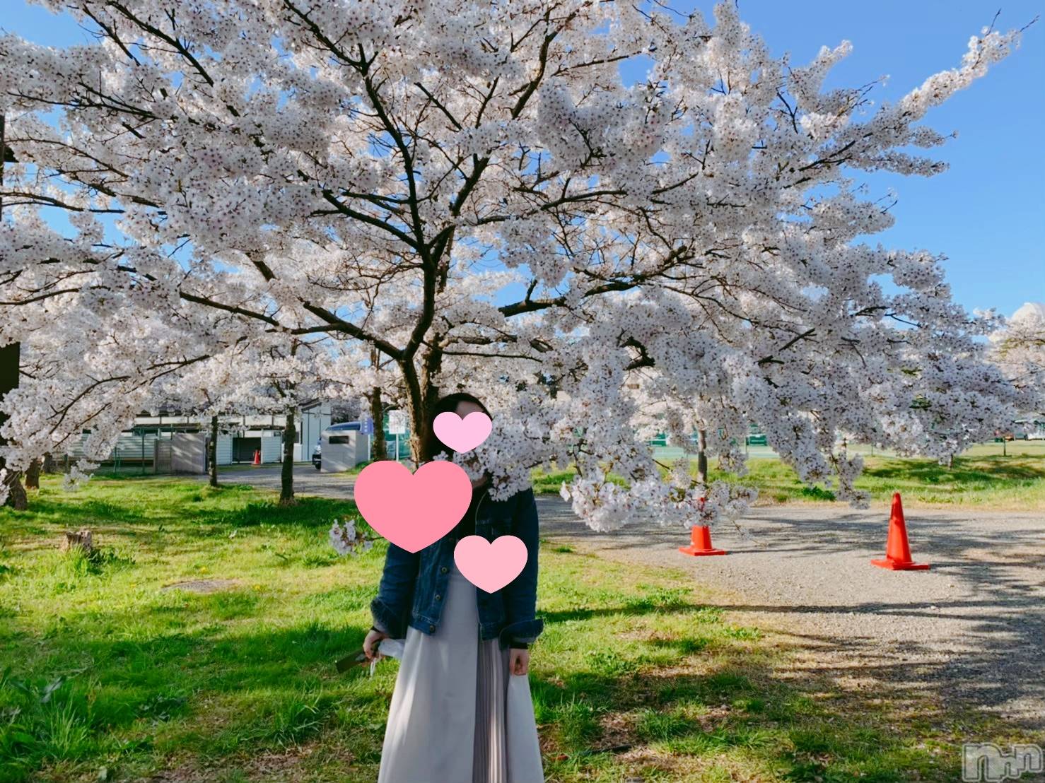 三条デリヘル人妻じゅんちゃん-出稼ぎ0！地元の奥様専門-(ヒトヅマジュンチャン)日向るり☆リピ率90％の美人奥様(45)の2022年4月14日写メブログ「桜の樹の下には」