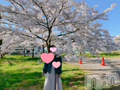 三条デリヘル 人妻じゅんちゃん-出稼ぎ0！地元の奥様専門-(ヒトヅマジュンチャン) 日向るり☆リピ率90％の美人奥様(46)の4月14日写メブログ「桜の樹の下には」
