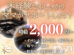 お酒が苦手でも大丈夫。会話を楽しむだけでOK!