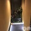 ʥå륺С LOUNGE-modan-(饦󥸥)