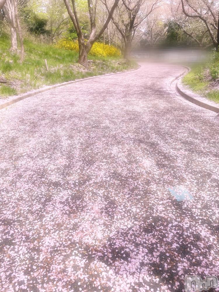 新潟デリヘル人妻楼　新潟店(ヒトヅマロウ　ニイガタテン) 歌春(38)の12月7日写メブログ「～毎年恒例歌春妄想紅白歌合戦が大好評な件～」