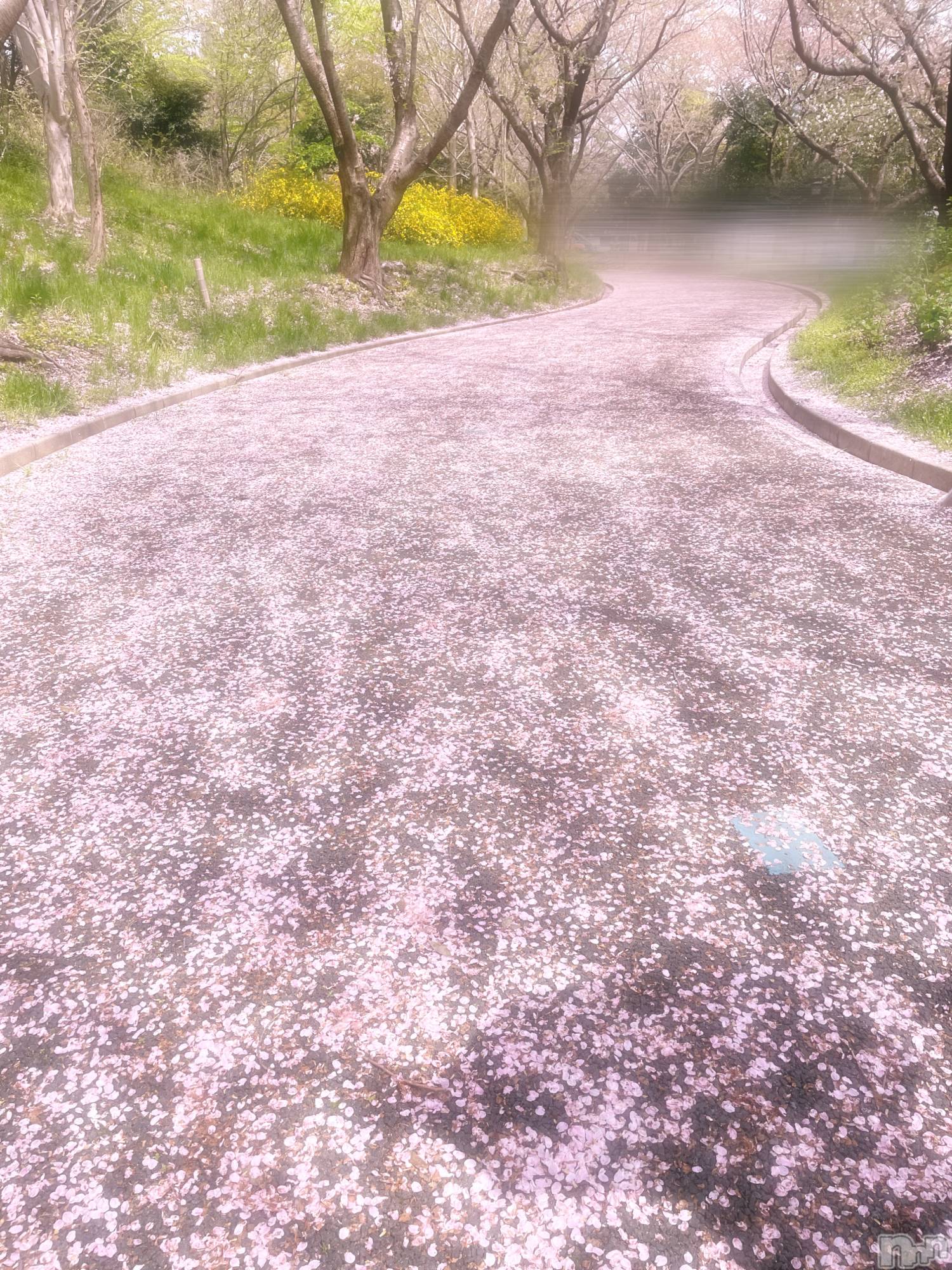 新潟デリヘル人妻楼　新潟店(ヒトヅマロウ　ニイガタテン)歌春(38)の2025年12月7日写メブログ「～毎年恒例歌春妄想紅白歌合戦が大好評な件～」