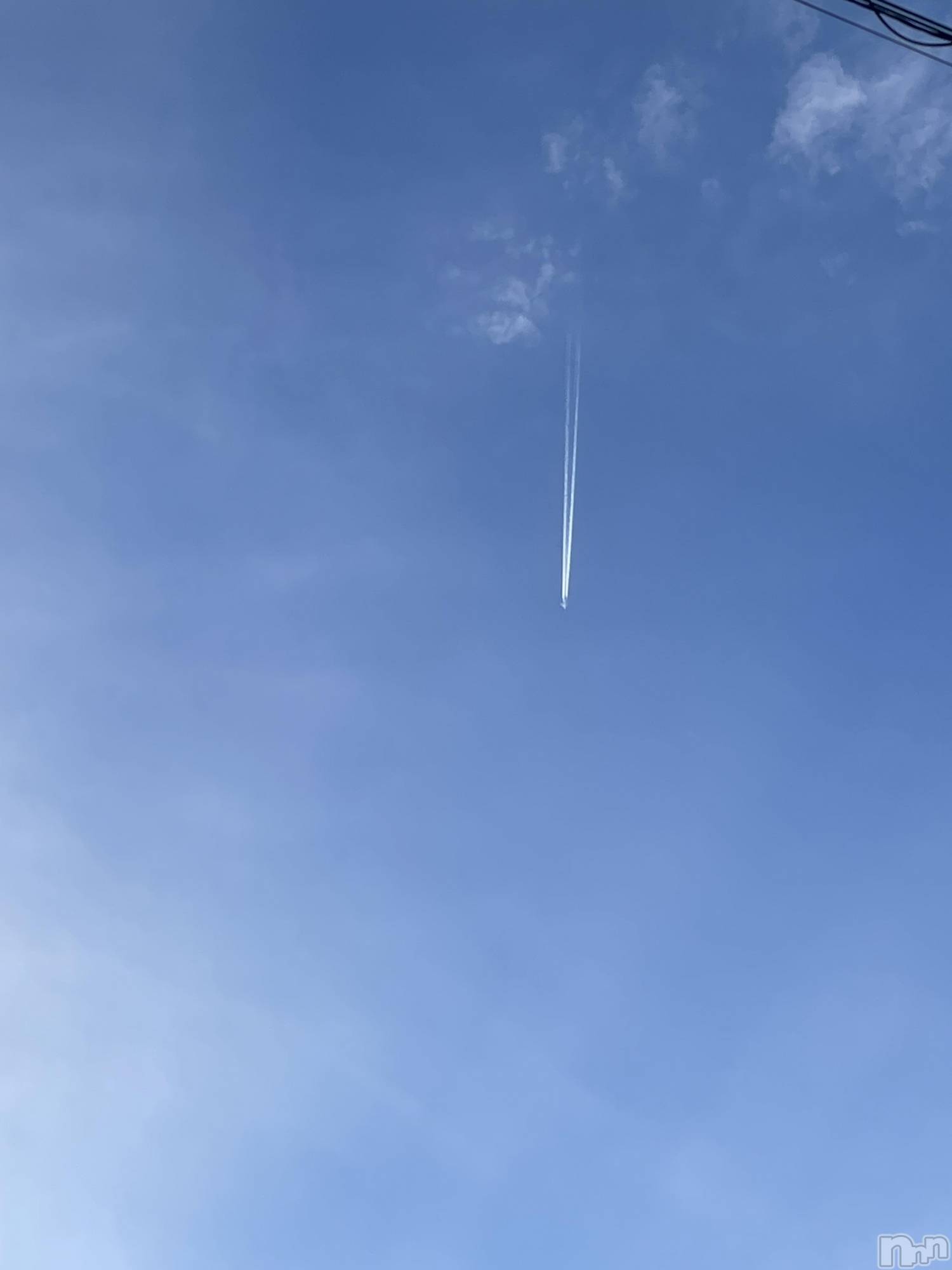 新潟デリヘル人妻楼　新潟店(ヒトヅマロウ　ニイガタテン)歌春(38)の2026年3月8日写メブログ「WBC⚾️歌春の占い🔮」