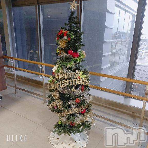 上越デリヘルHONEY(ハニー) なみえ(52)の12月15日写メブログ「クリスマスツリー✨🎄✨」