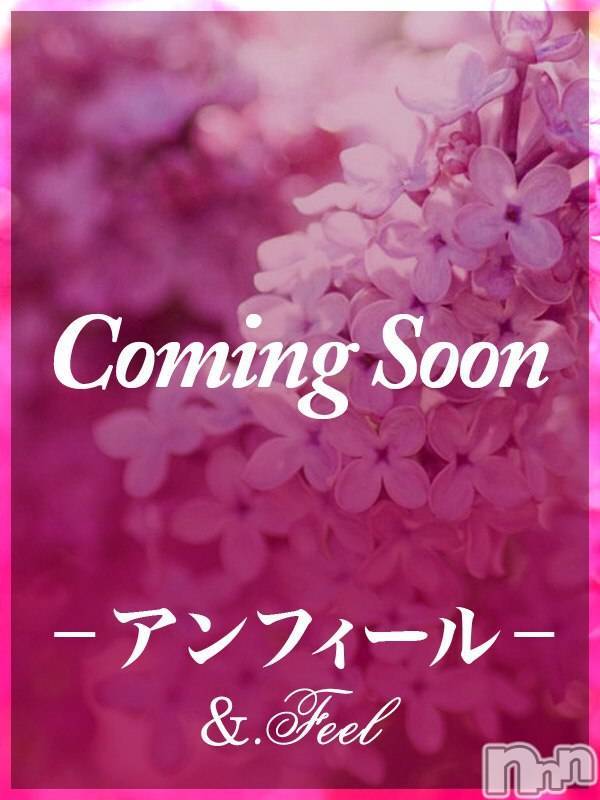 新潟デリヘル(アンフィール)の2026年8月23日お店速報「この半年間で8回目の出勤☆彡レアな美人が登場！」