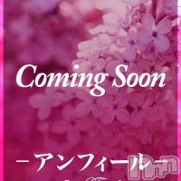 新潟デリヘル アンフィール-地元新潟の厳選された素人女性のみ-(アンフィール)の8月23日お店速報「この半年間で8回目の出勤☆彡レアな美人が登場！」