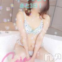 新潟デリヘル アンフィール-地元新潟の厳選された素人女性のみ-(アンフィール)の11月11日お店速報「超清楚の美少女のせいあちゃん💕」