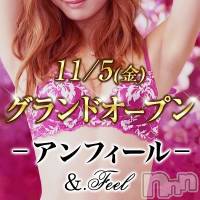 新潟デリヘル アンフィール-地元新潟の厳選された素人女性のみ-(アンフィール)の11月19日お店速報「⭐お祭り開催！本日実質7000円割引！⭐」