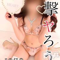 新潟デリヘル アンフィール-地元新潟の厳選された素人女性のみ-(アンフィール)の12月10日お店速報「【全員完売御礼】気になった子のオキニはお済？」