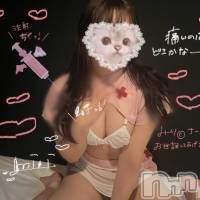 新潟デリヘル ENDLESS-安心の地元新潟の素人のみ-(エンドレス)の3月8日お店速報「新人からリピーター様多数の女の子出勤中☆彡」