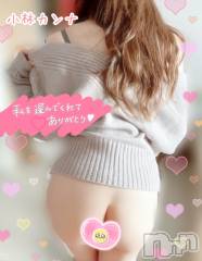 新潟デリヘル新潟の可憐な妻たち～秘密の逢瀬～(ニイガタノカレンナツマタチ～ヒミツノオウセ～) 黒江 しずく(33)の10月23日写メブログ「🌸隠れてるケド🌸」