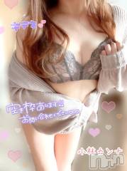 新潟デリヘル新潟の可憐な妻たち～秘密の逢瀬～(ニイガタノカレンナツマタチ～ヒミツノオウセ～) 黒江 しずく(33)の10月26日写メブログ「🌸明日出勤だよん🌸」