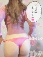 新潟デリヘル新潟の可憐な妻たち～秘密の逢瀬～(ニイガタノカレンナツマタチ～ヒミツノオウセ～) 黒江 しずく(33)の11月4日写メブログ「🌸今日もᵀᴴᴬᴺᴷ ᵞᴼᵁ🌸」