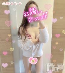 新潟デリヘル新潟の可憐な妻たち～秘密の逢瀬～(ニイガタノカレンナツマタチ～ヒミツノオウセ～) 黒江 しずく(33)の11月6日写メブログ「🌸明日のお誘い待ってます🌸」