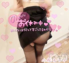 新潟デリヘル新潟の可憐な妻たち～秘密の逢瀬～(ニイガタノカレンナツマタチ～ヒミツノオウセ～) 黒江 しずく(33)の11月9日写メブログ「🌸丸くて小さくてかわいいもの🌸」