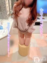 新潟デリヘル新潟の可憐な妻たち～秘密の逢瀬～(ニイガタノカレンナツマタチ～ヒミツノオウセ～) 黒江 しずく(33)の4月24日写メブログ「鉢植えから生えた植物🪴」