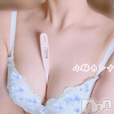 新潟デリヘル 新潟の可憐な妻たち～秘密の逢瀬～(ニイガタノカレンナツマタチ～ヒミツノオウセ～) 黒江 しずく(33)の10月12日写メブログ「🌷よろしくお願いします🌷」