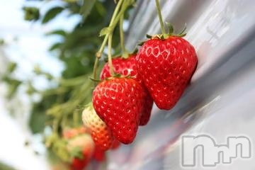 上田発人妻デリヘルBIBLE～奥様の性書～(バイブル～オクサマノセイショ～) ★リエ★(35)の1月25日写メブログ「これから☆」