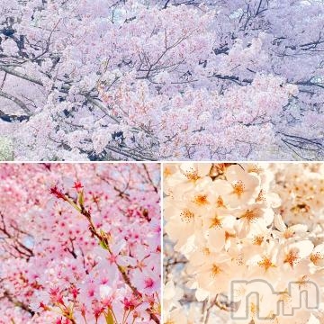 上田発人妻デリヘルBIBLE～奥様の性書～(バイブル～オクサマノセイショ～) ★リエ★(35)の4月6日写メブログ「sakura＊mankai」