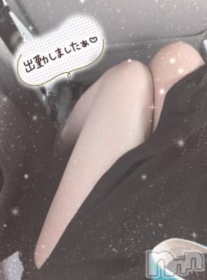 新潟人妻デリヘル 一夜妻(イチヤヅマ) あさみ/抜群のスタイル(22)の2月20日写メブログ「猫系らしいです🐱」