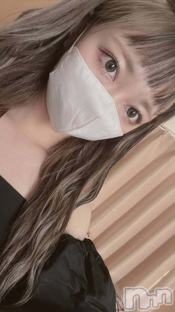 ʥå륺СVeronica-˥-(˥) ꤫88̥֥88 0004ʬΥ֥