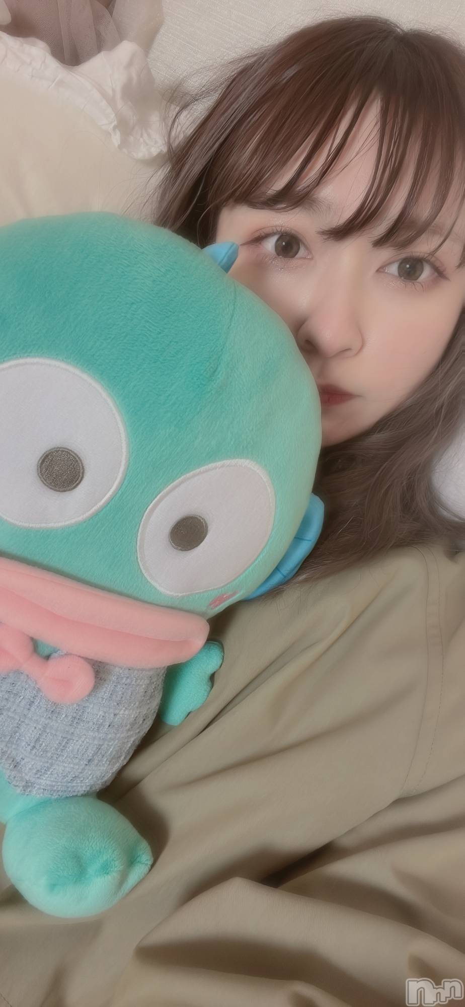 ʥå륺СVeronica-˥-(˥) 2023ǯ62̥֥👼