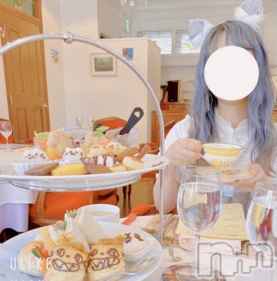 ʥå륺СVeronica-˥-(˥) ꤫1015̥֥֤ˡ